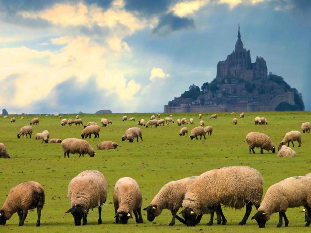 Gite Timeo Mont Saint-Michel Pontorson Exterior foto
